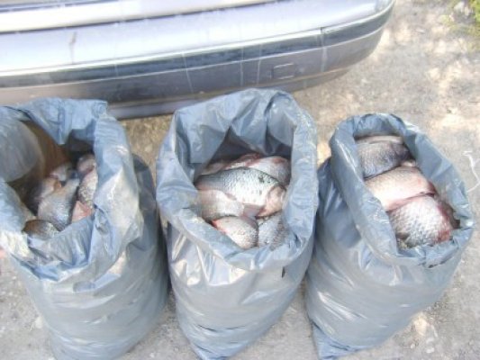 Cercetaţi penal pentru 5 kilograme de peşte